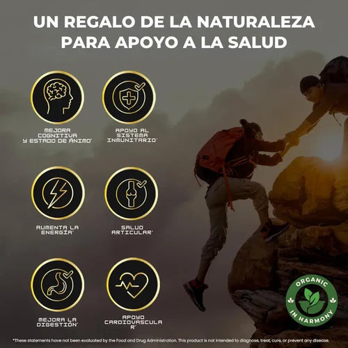 GOMITAS SHILAJIT x 160g - MEGA OFERTA