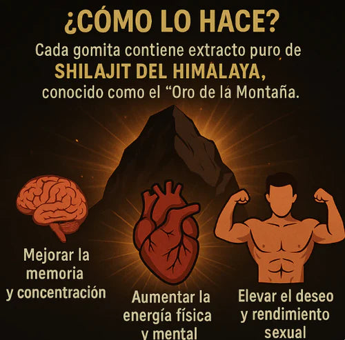 GOMITAS SHILAJIT x 160g - MEGA OFERTA