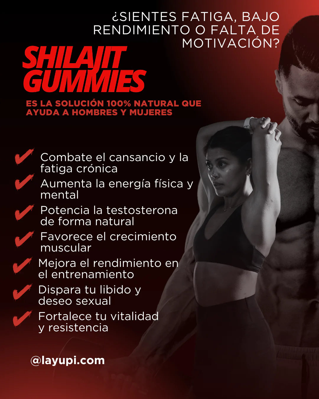 GOMITAS SHILAJIT x 160g - MEGA OFERTA